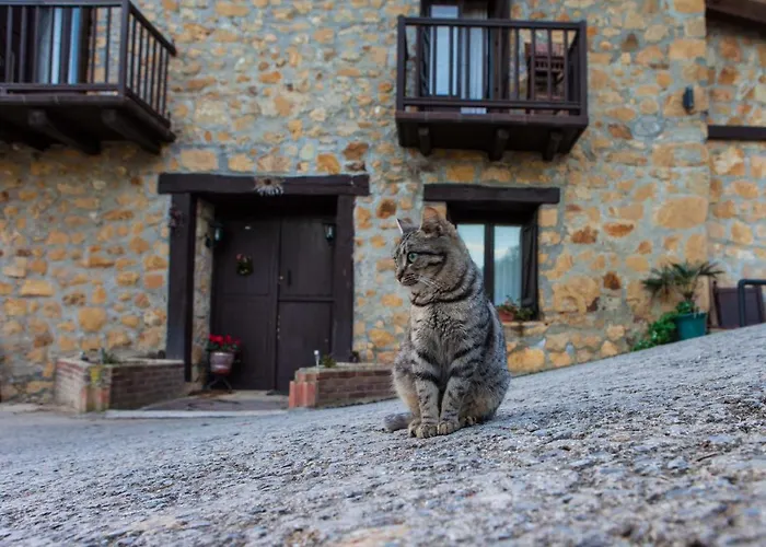 Caserio Larrabide Chalet Pasai San Pedro